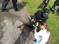 SAM_2217