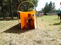 SAM_1853